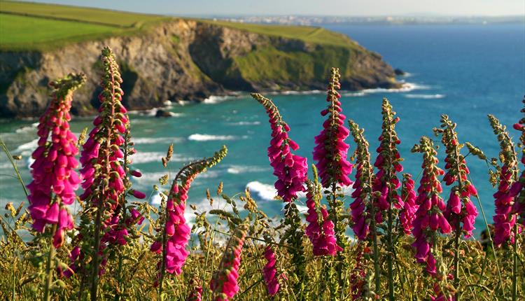 Mawgan Porth Beach - TR8 4BL