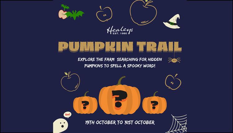 Healeys Cyder Farm Pumpkin Trail