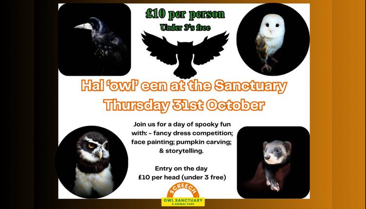 Halloween at the Screech Owl Sanctuary 2024