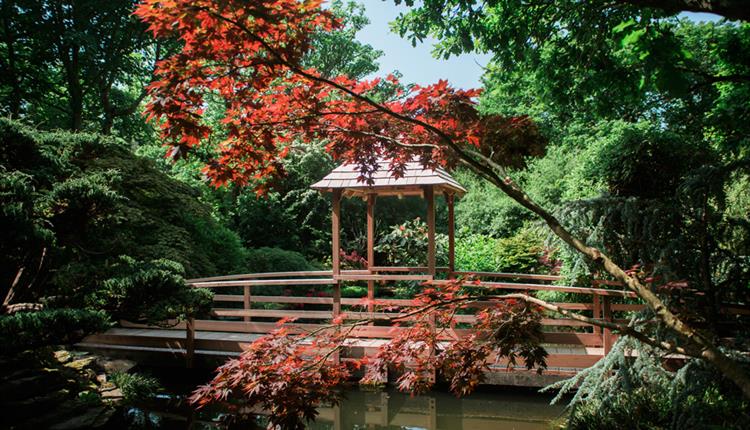 The Japanese Garden