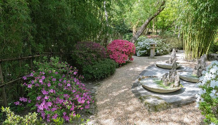 Charity Open Garden at The Japanese Garden