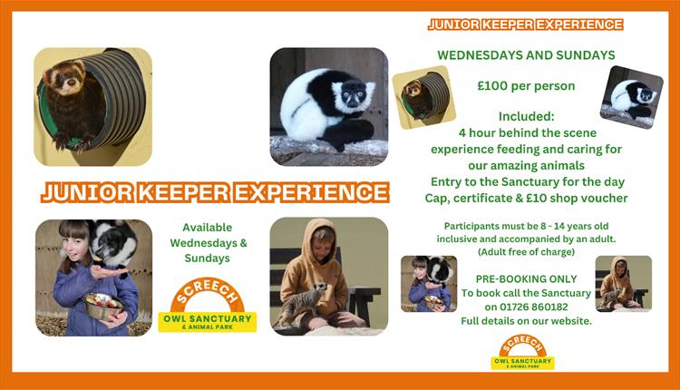 Screech Owl Sanctuary: JUNIOR KEEPER EXPERIENCE (8 - 14 year olds)