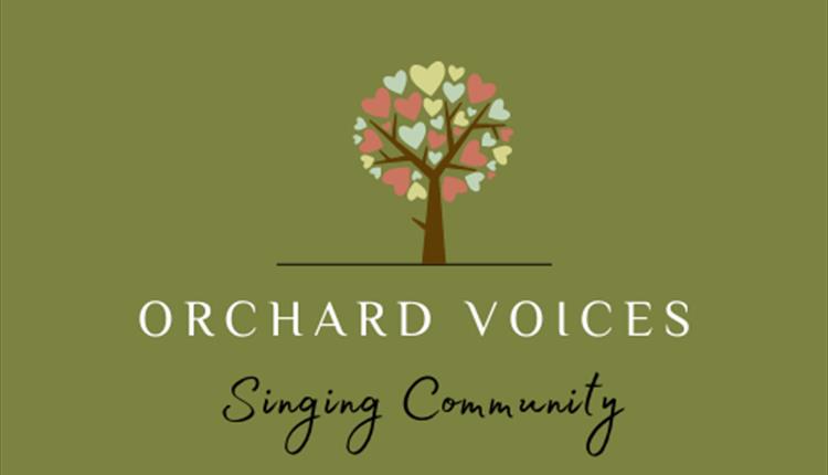 Orchard Voices 2024 at Newquay Orchard