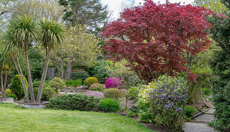 Lower Tregamere opens for National Garden Scheme