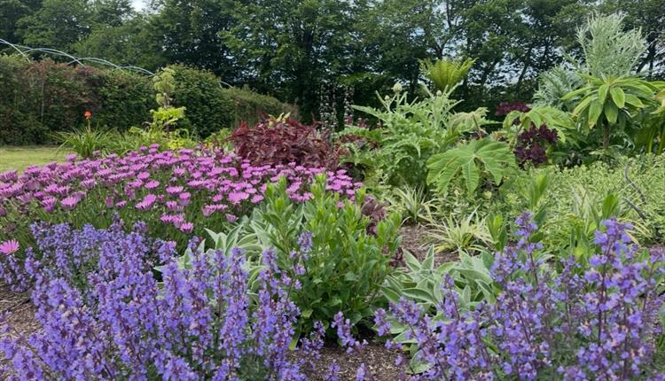 Charity Open Garden at Mitchell Fruit Garden