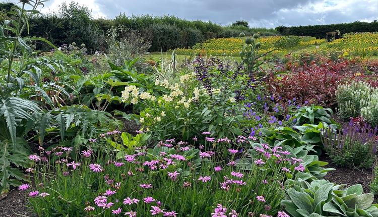 National Garden Scheme at Mitchell Fruit Garden