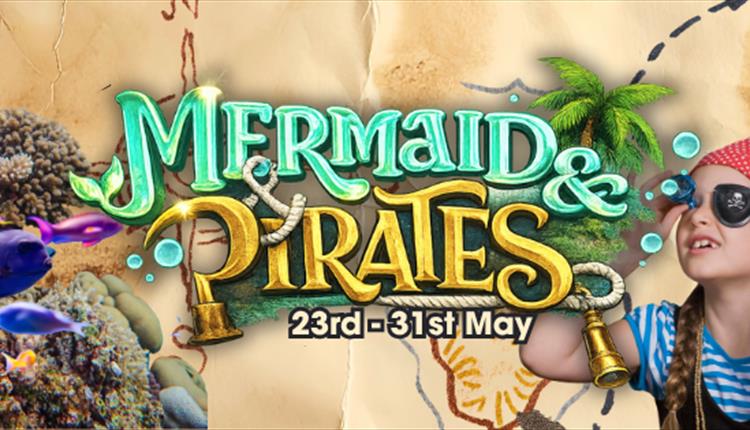 Mermaids and Pirates at Blue Reef Aquarium