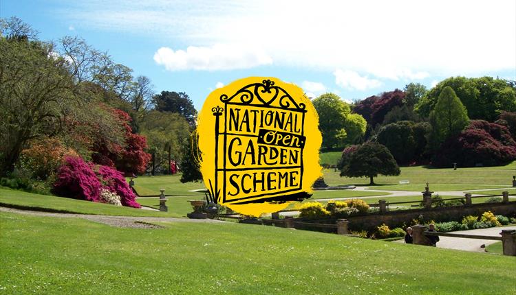 National Garden Scheme at Pencarrow Estate