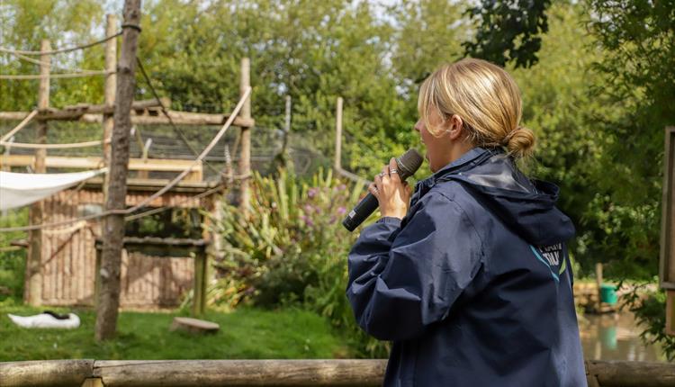 Senior Discovery Days at Newquay Zoo