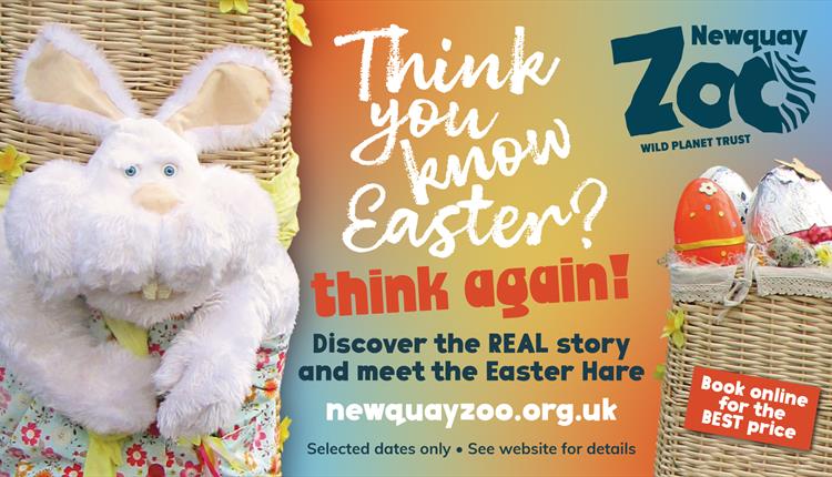 Easter at Newquay Zoo!