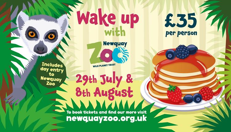 Wake Up With Newquay Zoo