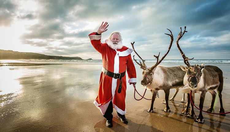 Meet the Reindeers at Fistral Beach