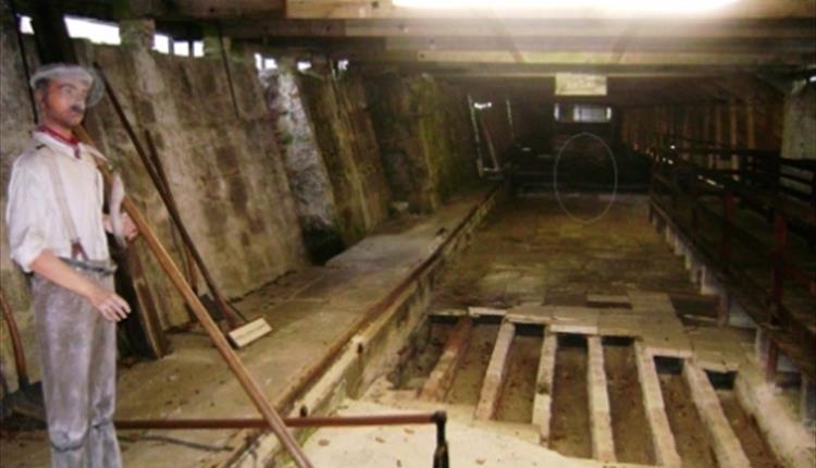 Paranormal Night at Wheal Martyn