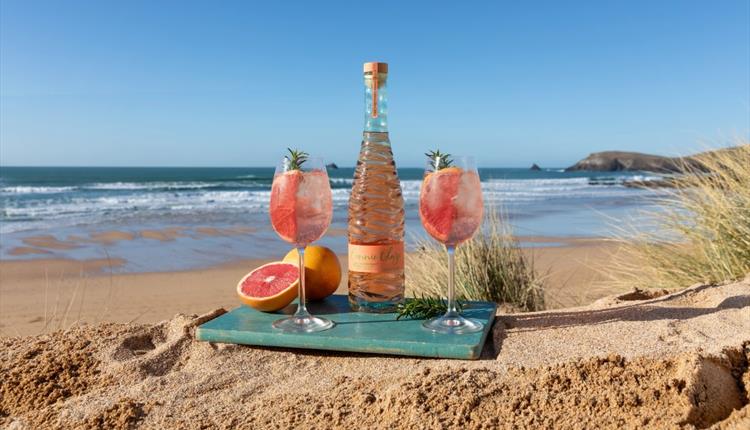 The Connie Glaze Vodka Masterclass at the Fistral Beach Hotel & Spa