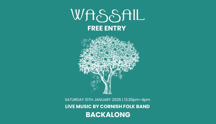 Wassail at Newquay Orchard