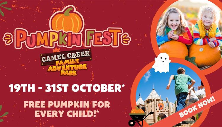 Pumpkin Fest at Camel Creek