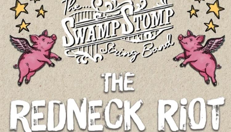 The Swamp Stomp String Band