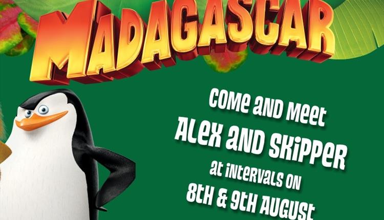 Meet Alex & Skipper from Madagascar at Camel Creek Adventure Park