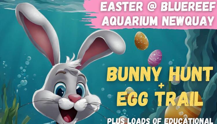 Easter Egg Hunt at Newquay's Blue Reef Aquarium