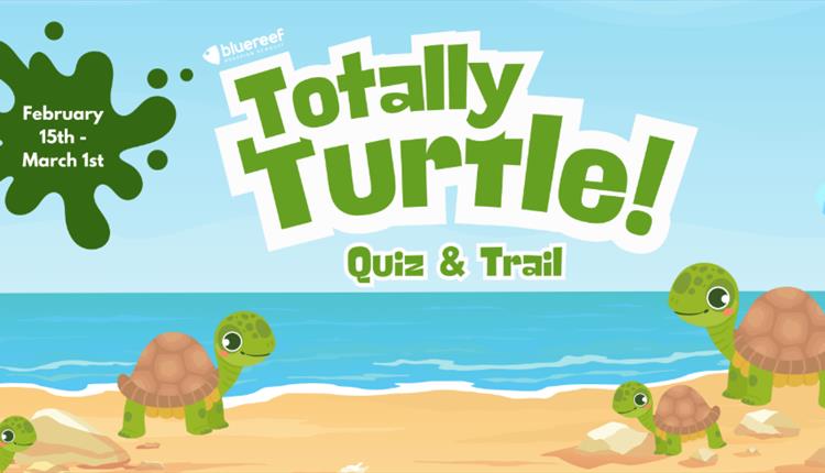 Totally Turtle at Blue Reef Aquarium
