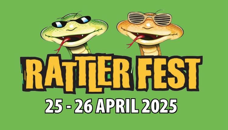 Rattler Fest at Healeys Cornish Cyder Farm