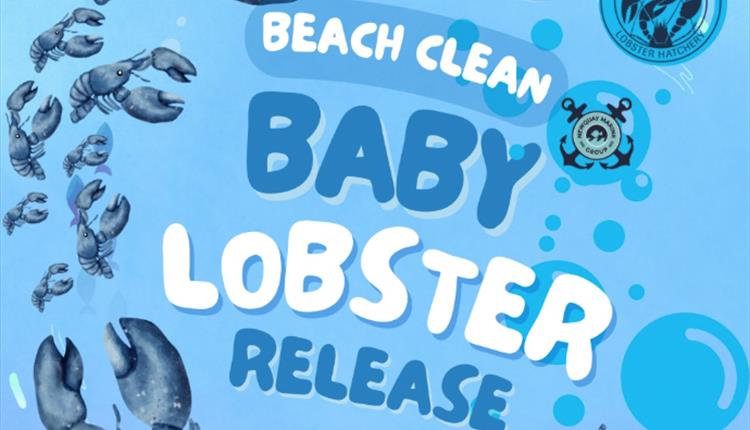 Beach Clean and Baby Lobster Release