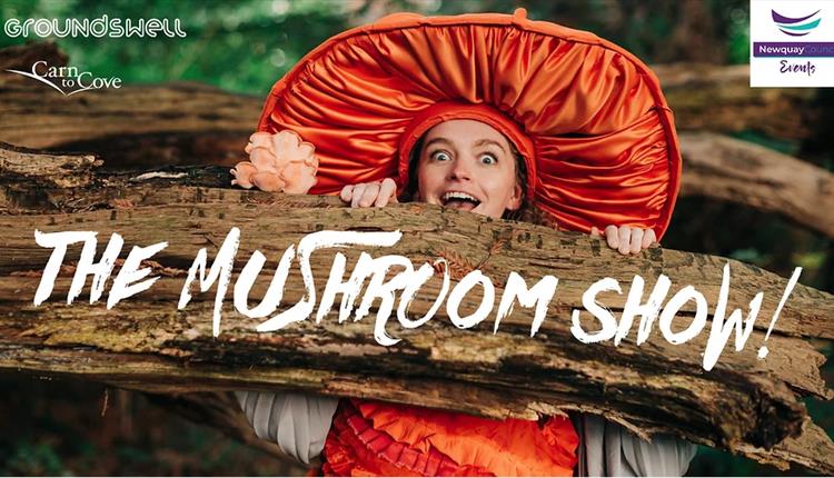 Free Family Show 'The Mushroom Show' on the Killacourt