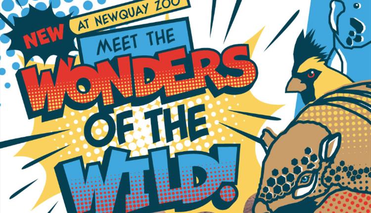 Wonders of the Wild at Newquay Zoo
