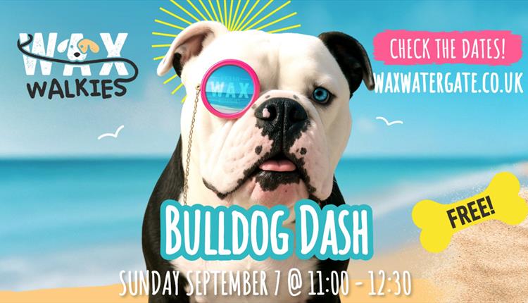Bulldog Dash at Wax Watergate