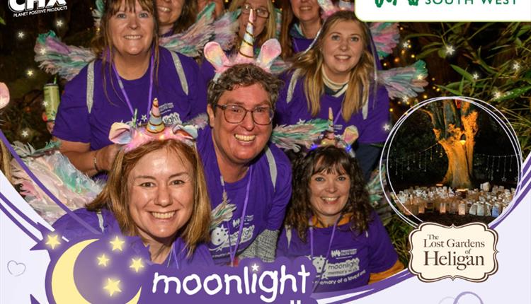 Moonlight Memory Walk