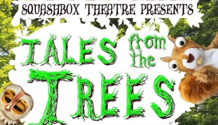 Tales from the Trees