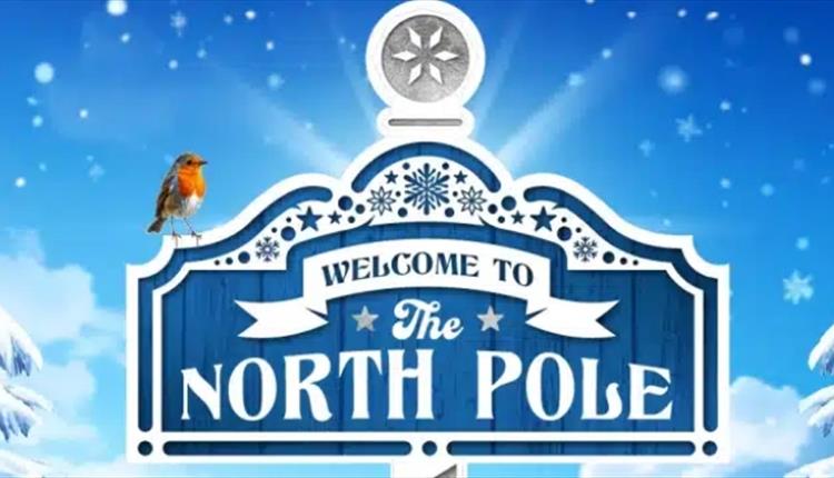 Christmas at Newquay Zoo