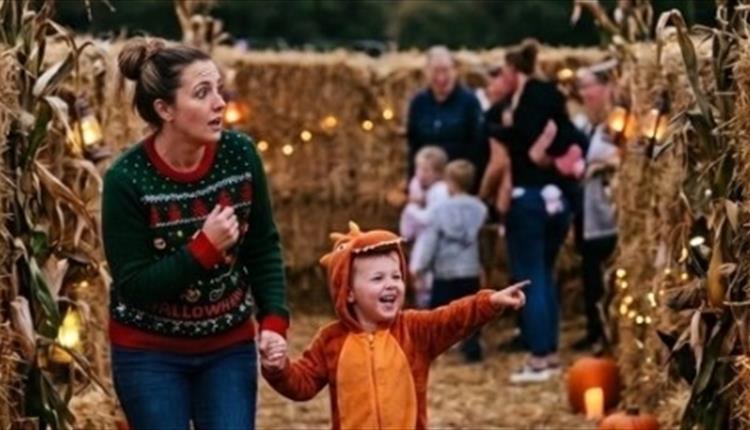 The Haunted Harvest at Monkey Tree