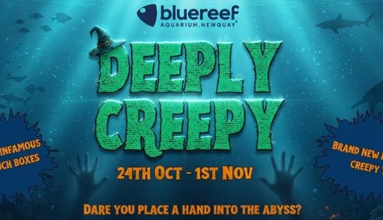 Deeply Creeply This October Half Term at Newquay's Blue Reef Aquarium