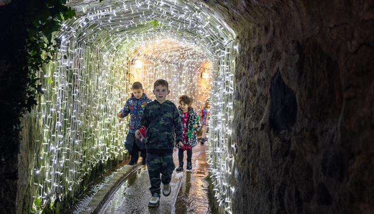 Tunnel of Lights at Shipwreck Treasure Museum, Charlestown