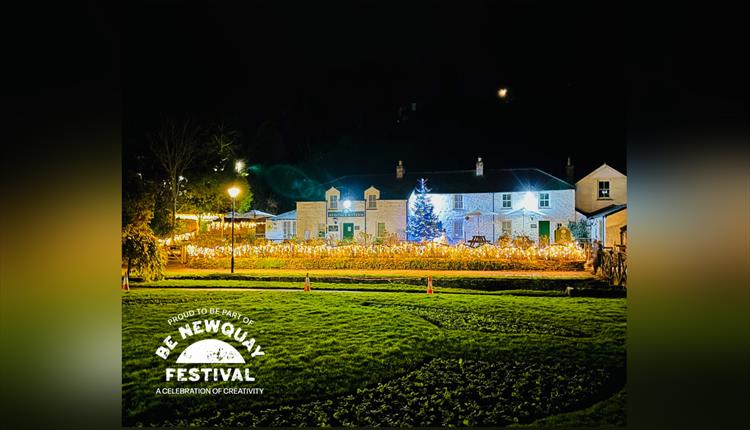 Trees and Tales: Trenance Christmas Lights Switch-On