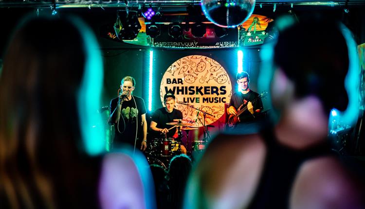 September Live Music at Whiskers!