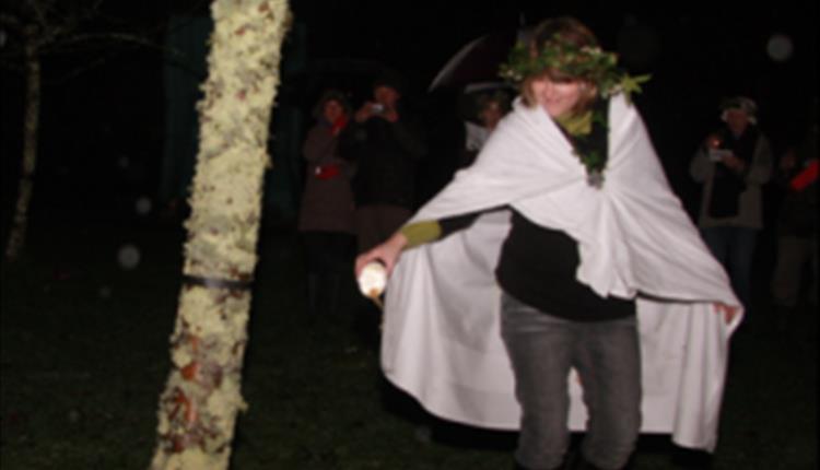 Wassail at Trelissick