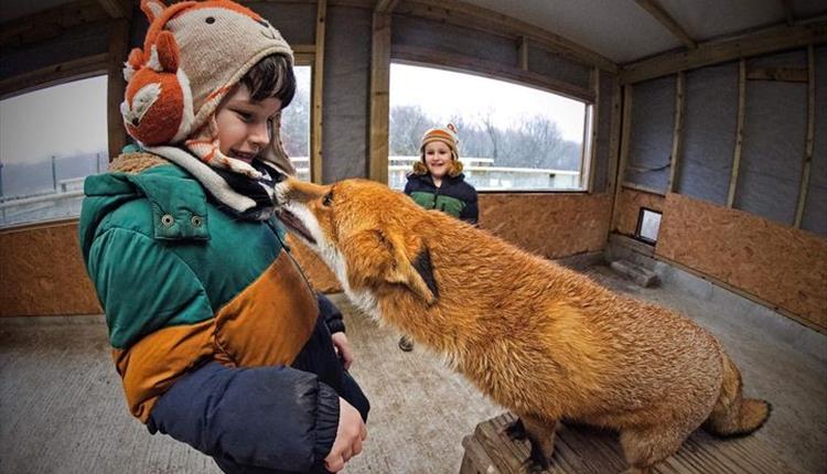 Animal Encounters at Screech owl Sanctuary this May Half Term