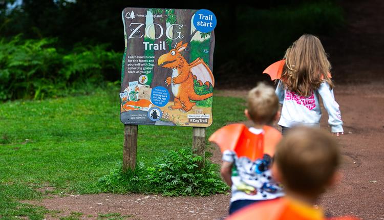 Zog’s Christmas Code at Cardinham Woods
