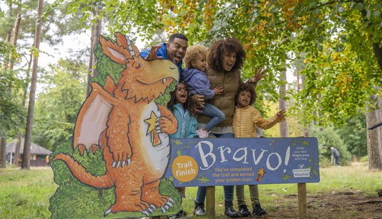 Zog returns to Cardinham Woods 2023