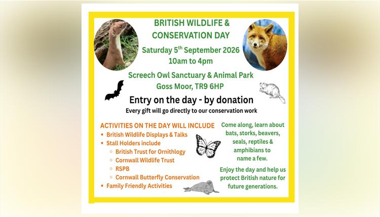 Autumn British Wildlife & Conservation Day at Screech Owl Sanctuary