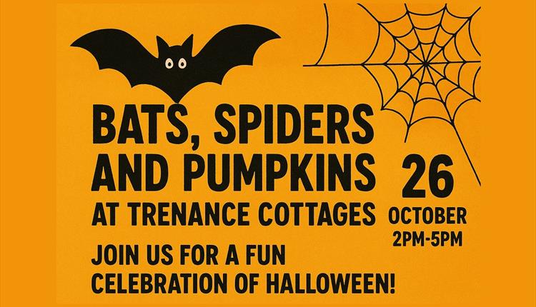 Bats, Spiders and Pumpkins at Trenance Cottages