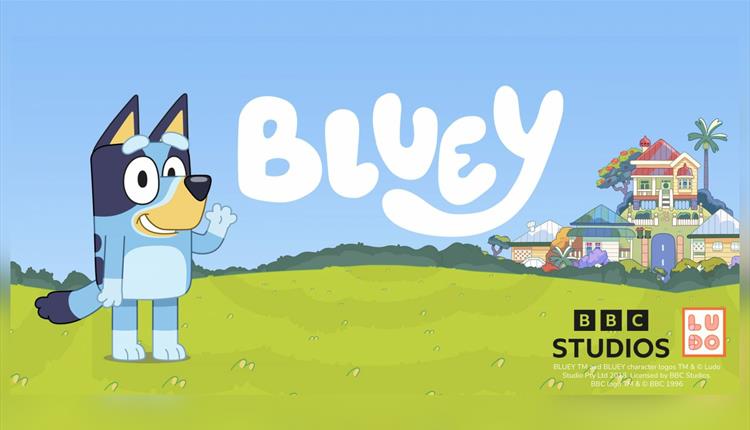 Bluey at Lappa Valley 2026