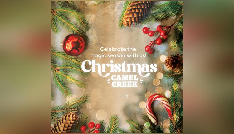Experience the Magic of Christmas at Camel Creek