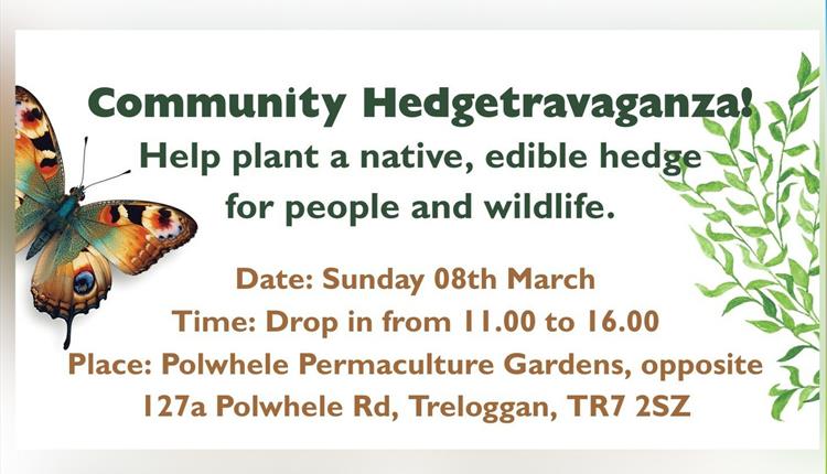 Community Hedgetravaganza
