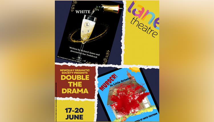 DOUBLE THE DRAMA: Two One Act Plays at the Lane Theatre