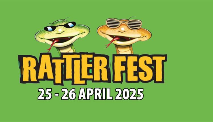 Rattler Fest at Healeys Cornish Cyder Farm