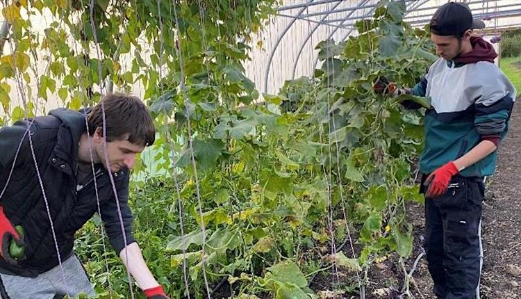 Newquay Orchard - Supported Internship Open Evening
