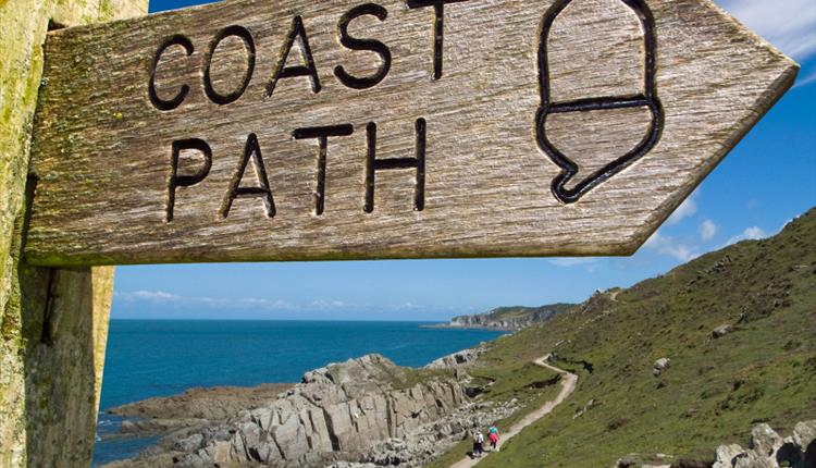 Every Mile Matters - Newquay Circular Walk